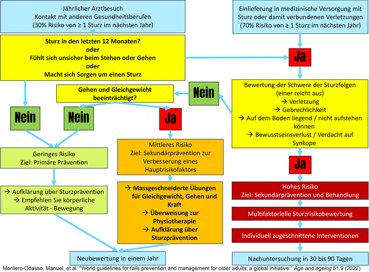 Algorithmus Sturzrisiko 